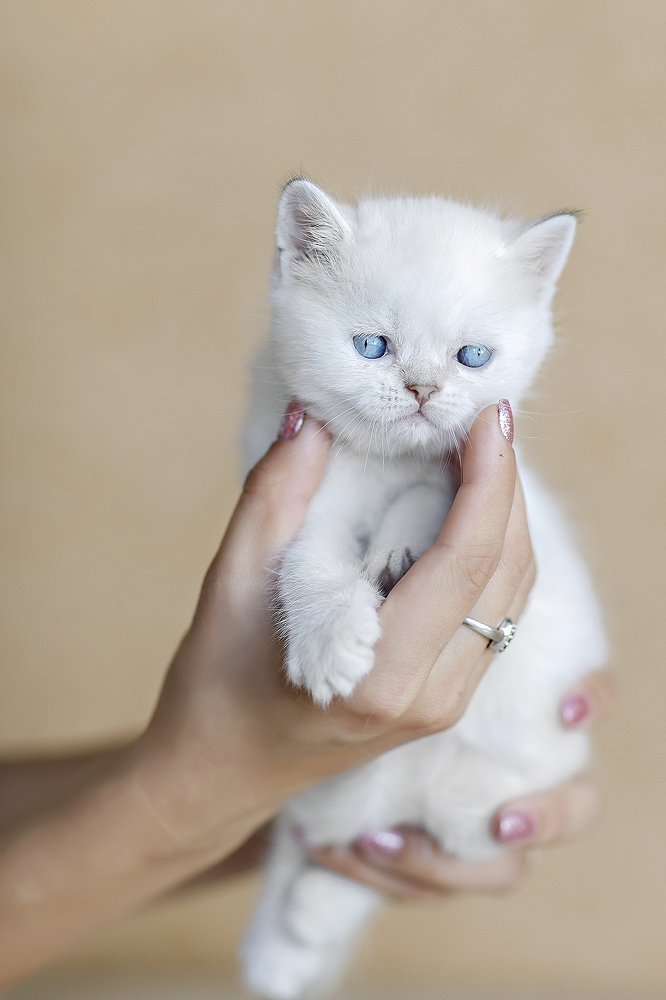 Photograph by Ира Никина