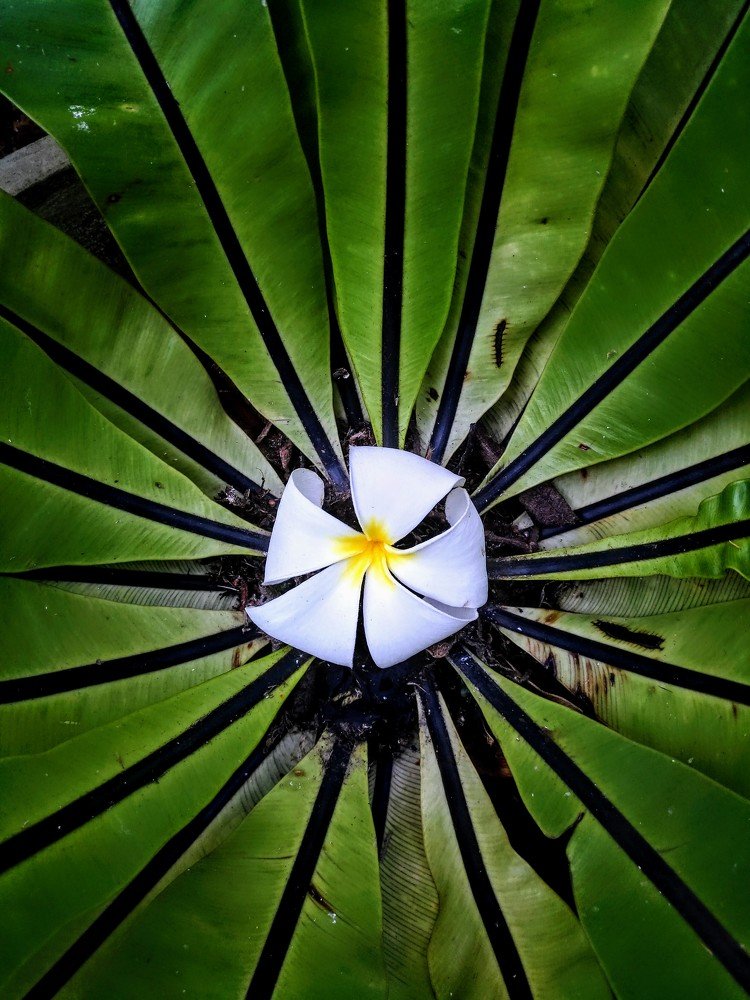 Photograph by Székelyhidi Marina