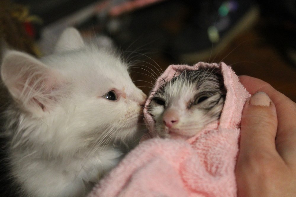 Photograph by Василий