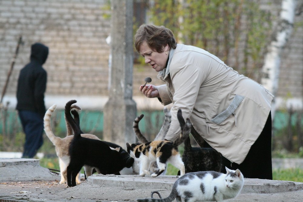 Photograph by Василий