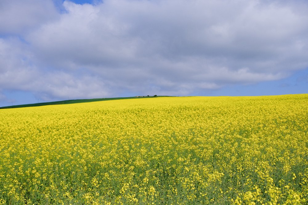 Photograph by Данил Луговой