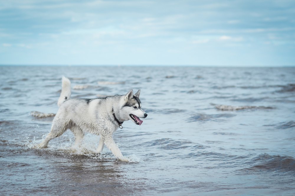 Photograph by Liguanna Anna