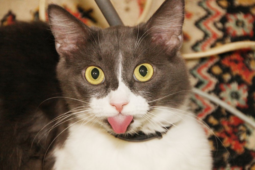 Photograph by Василий