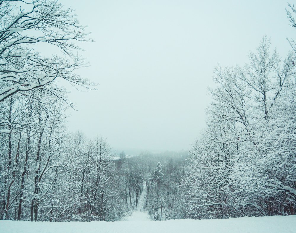 Photograph by Liguanna Anna