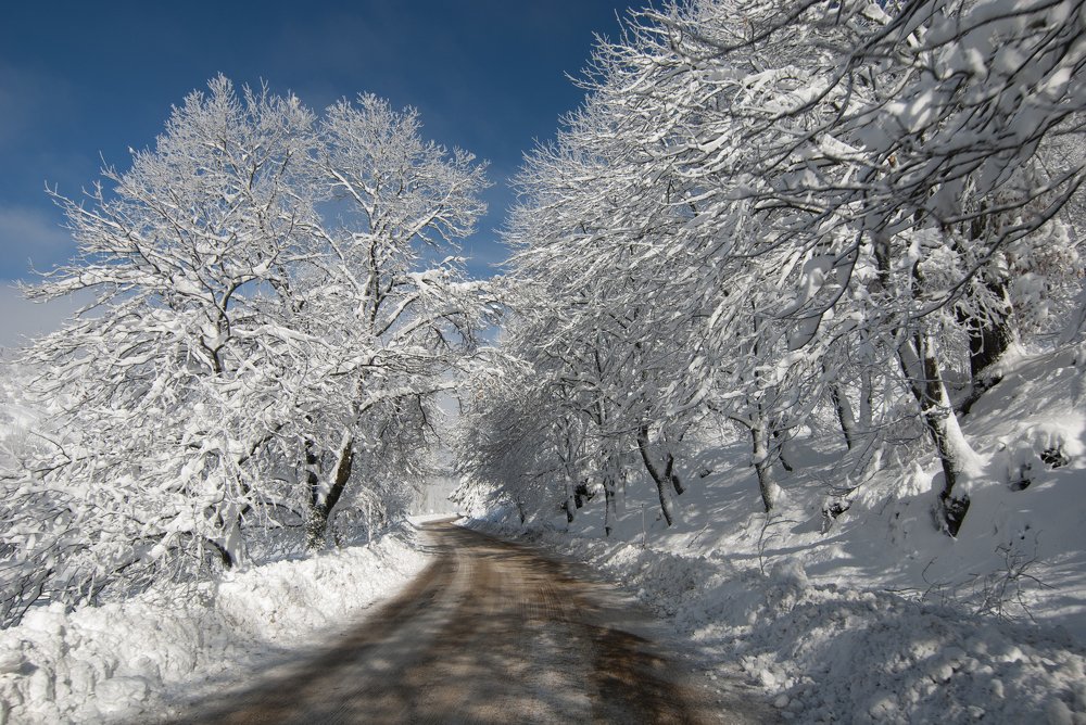 Photograph by mehmet enver karanfil