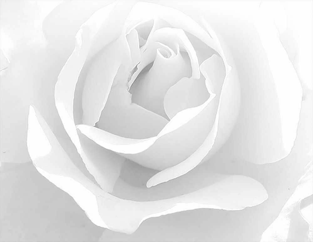 Photograph by mehmet enver karanfil