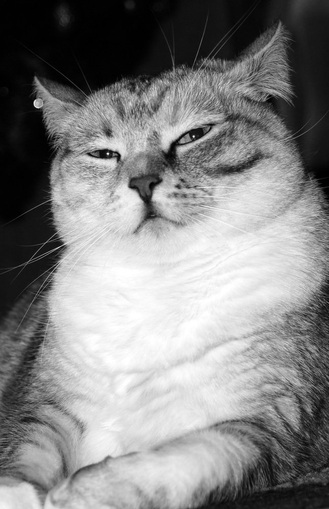 Замышляет!)