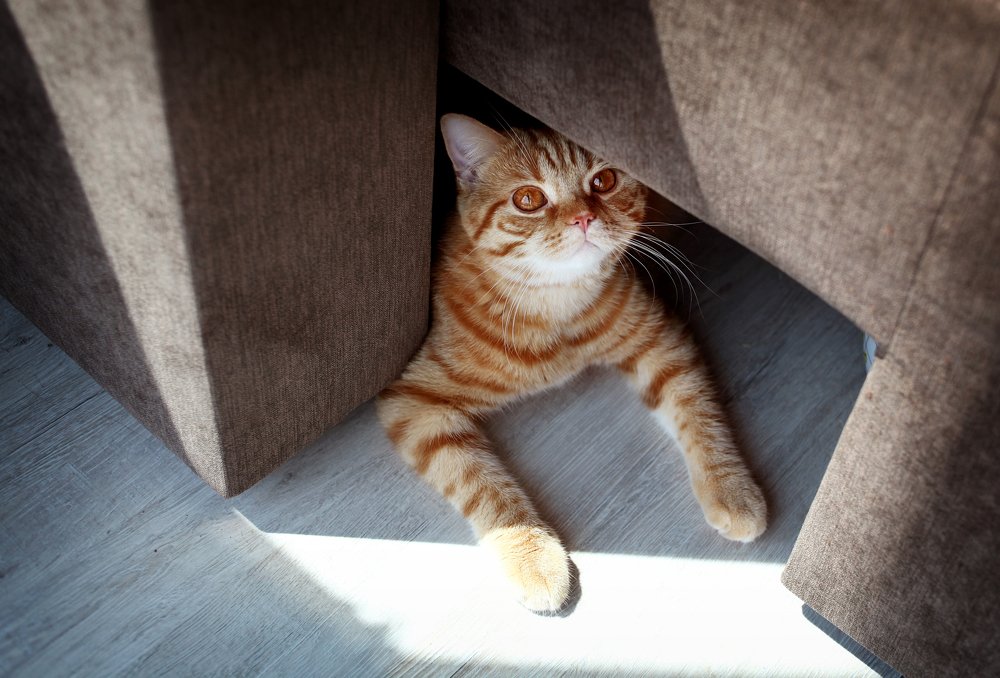 Photograph by Киркиш Ирина