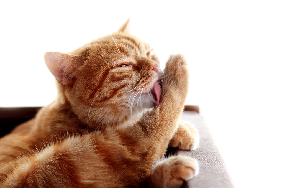 Photograph by Киркиш Ирина