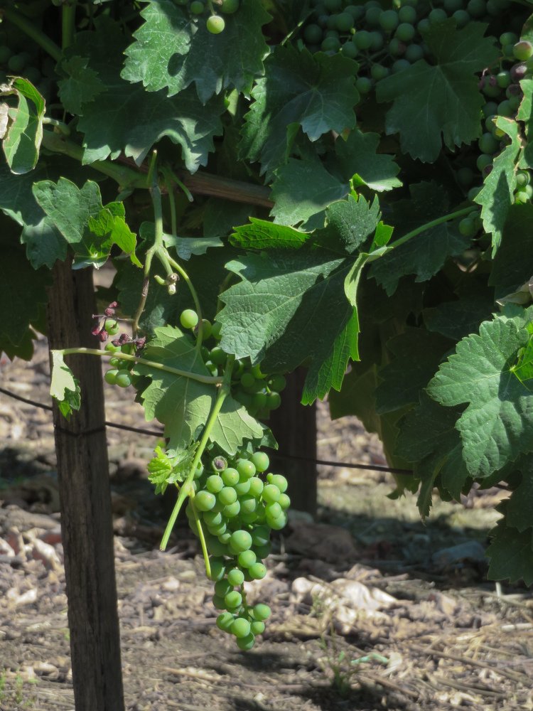 Photograph by Марина Осипова