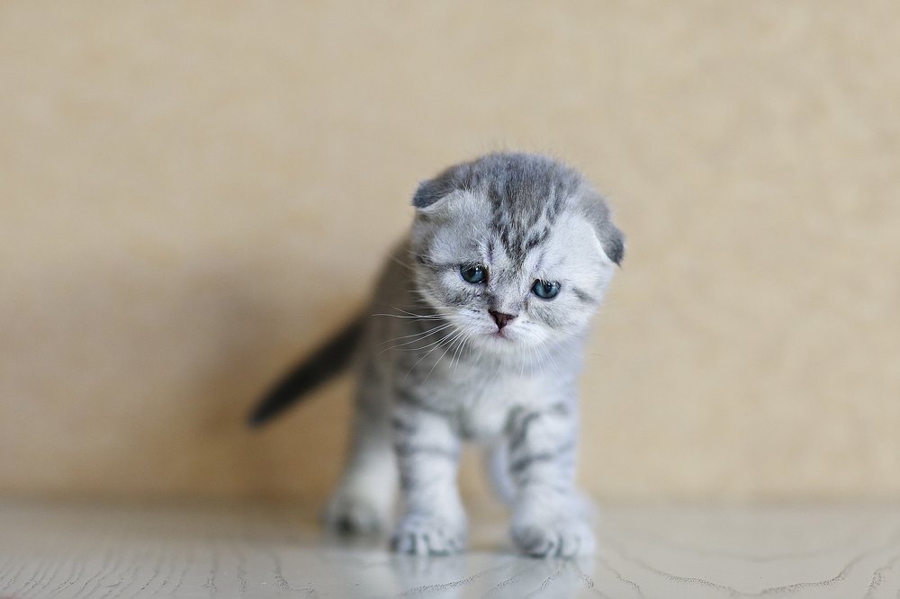 Photograph by Ира Никина