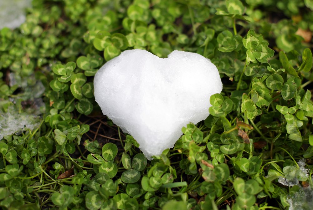 frozen heart