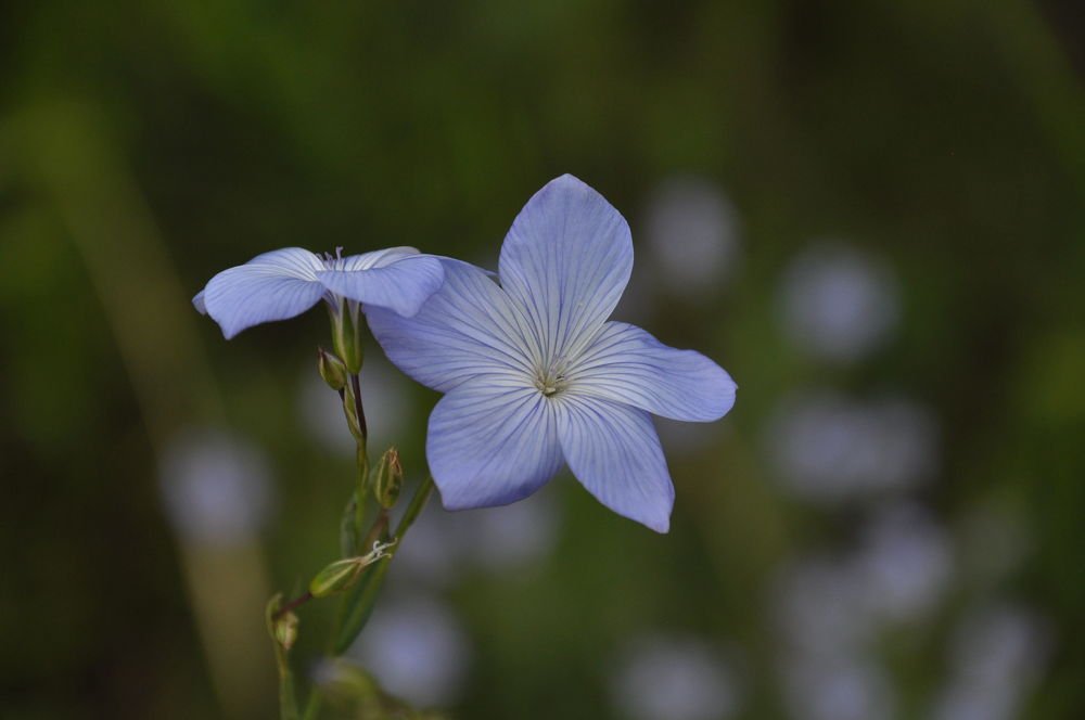 Photograph by Luka Mitrovic