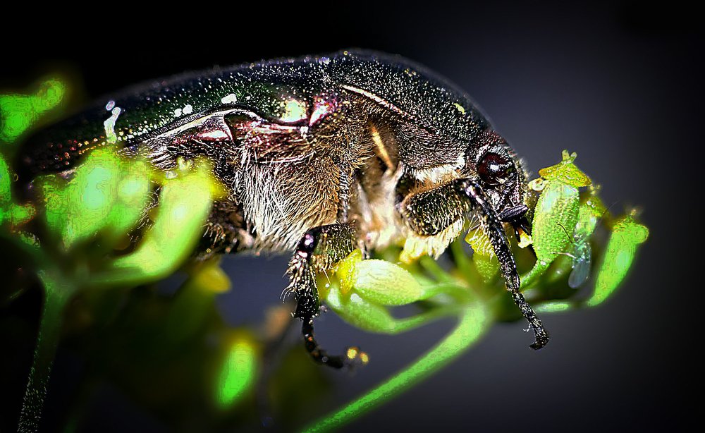 Photograph by Алексей Степанюк