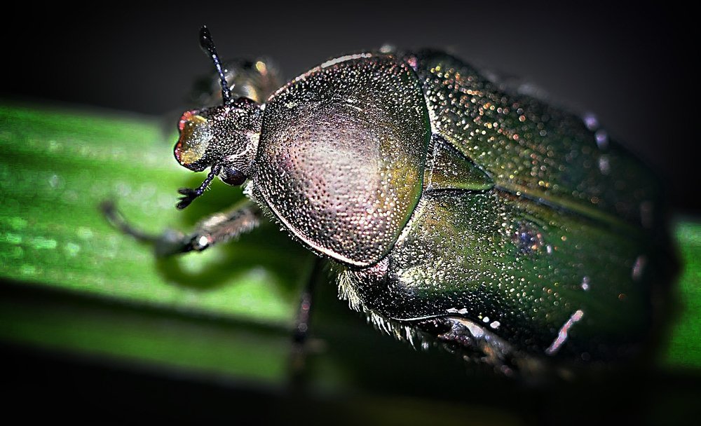 Photograph by Алексей Степанюк