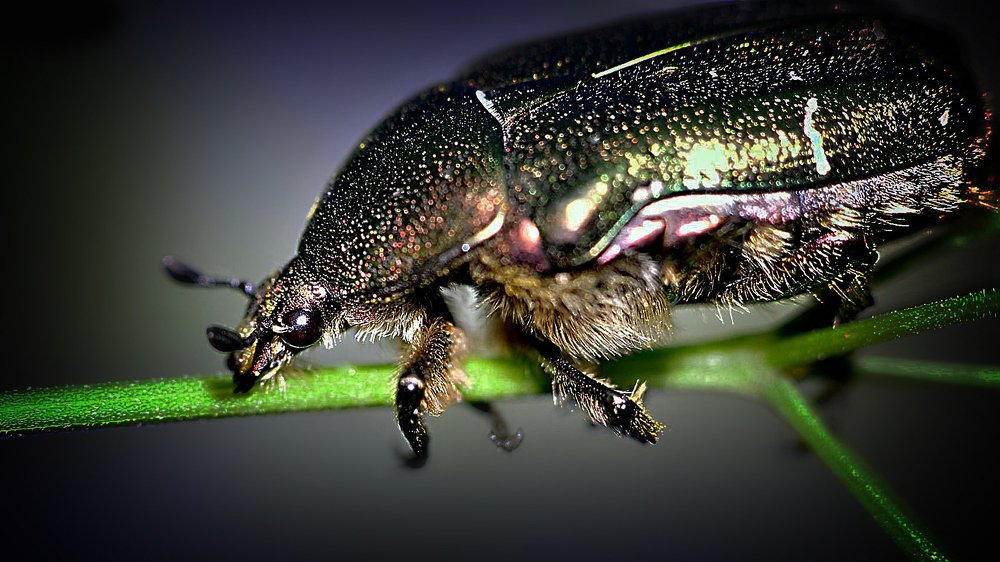 Photograph by Алексей Степанюк