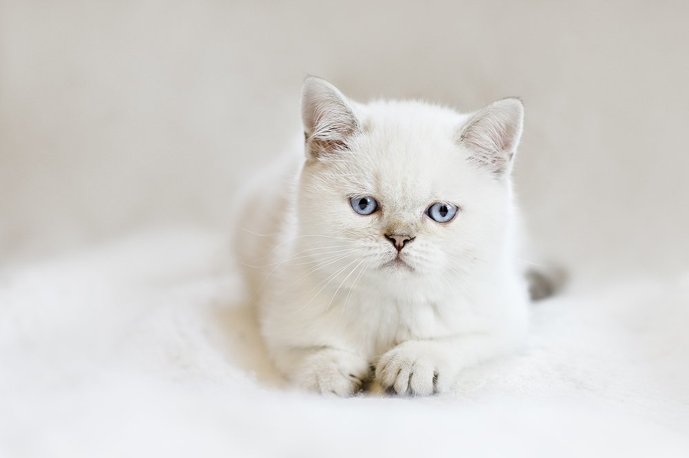 Photograph by Ира Никина