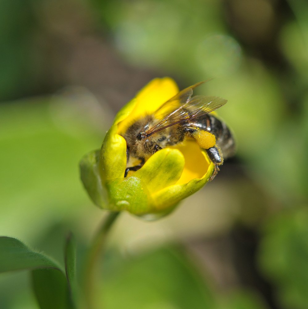 Photograph by Svetlana Popova