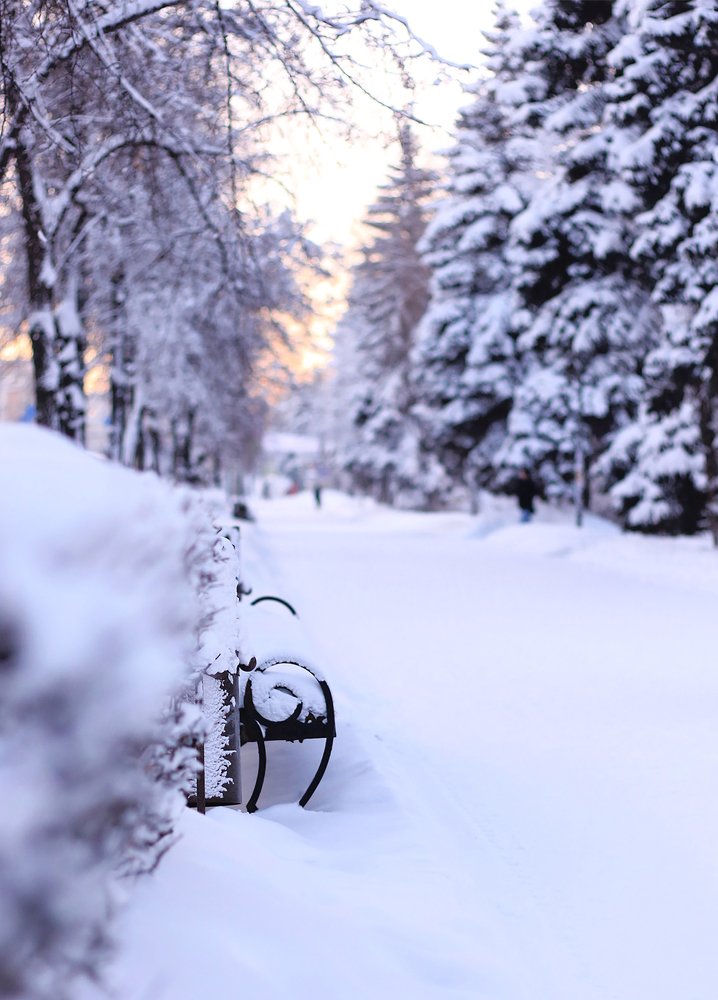 Photograph by Анастасия Мещерякова