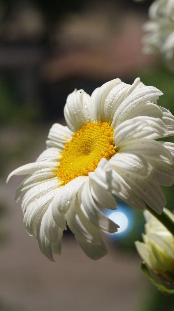 Фотография автора Наталия Привал