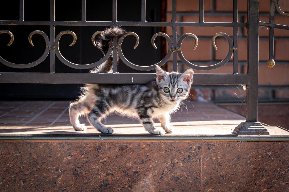 На прогулке