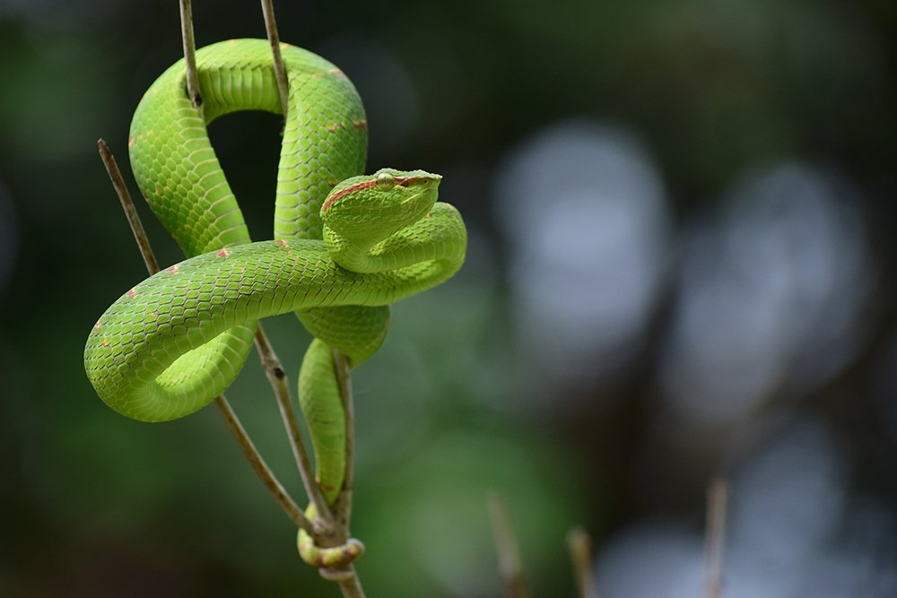 Photograph by Aqil Fadhlullah