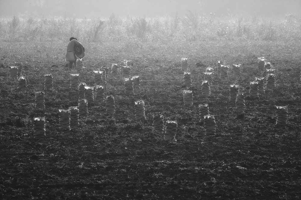 Photograph by Mauricio Narea