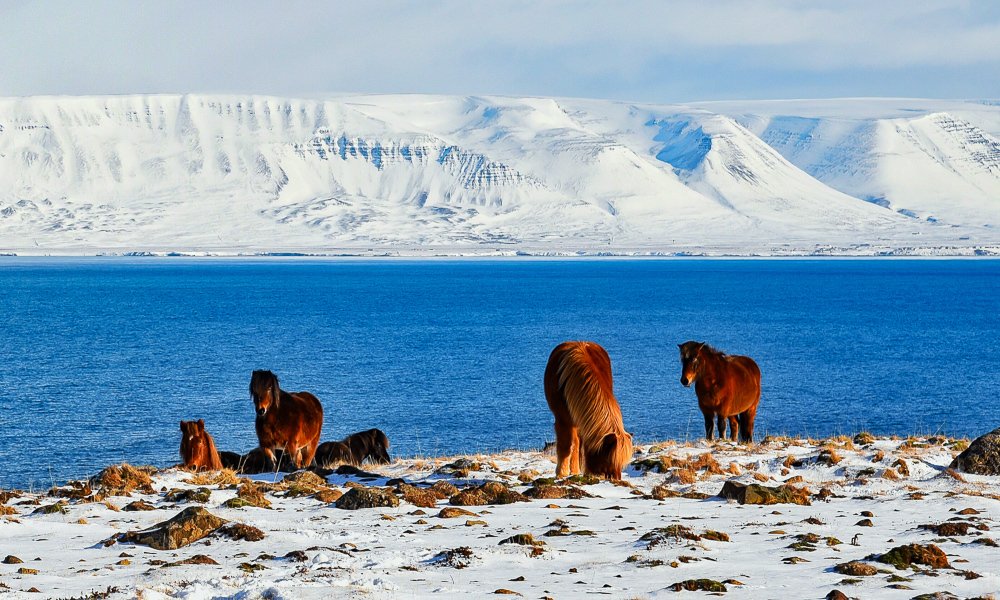 Фотография автора Gabriela Bonilla