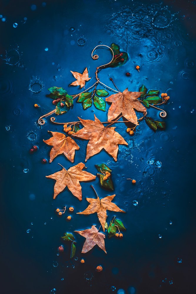 Photograph by Dina Belenko