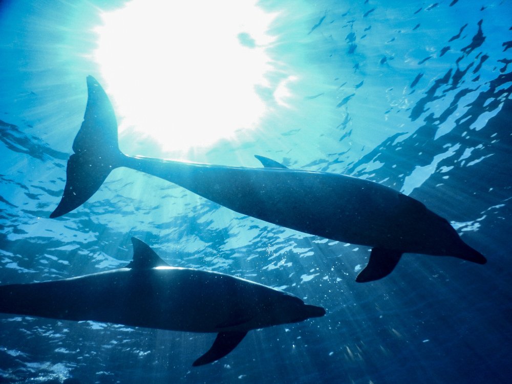 Photograph by 野口 真希