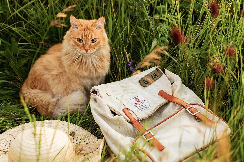 Photograph by Gerasimova Darina