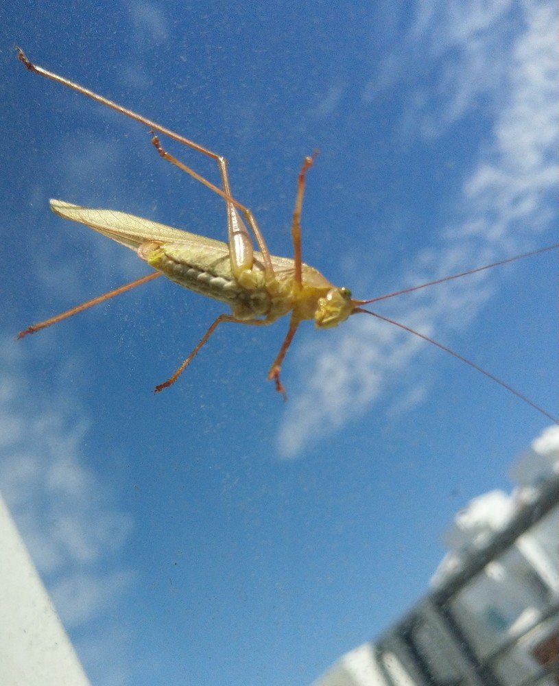 Photograph by Manuel Alencaster