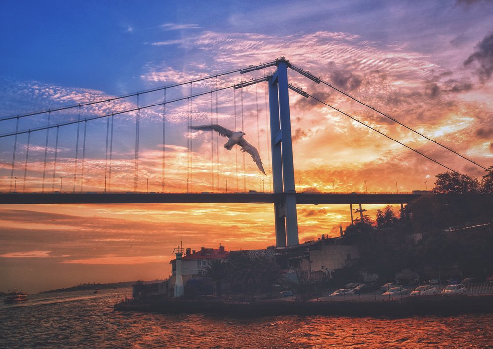 Фотография автора Gabriela Bonilla