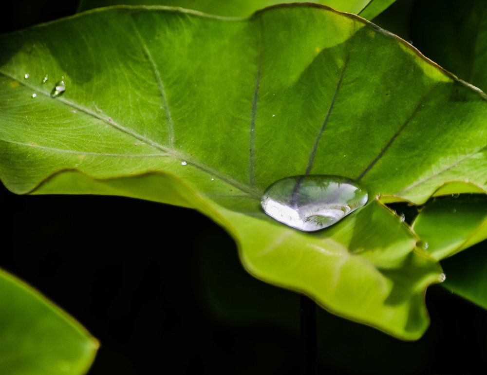 Photograph by setyadi Budi Siswoyo
