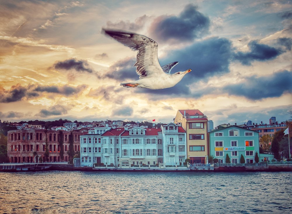 Фотография автора Gabriela Bonilla