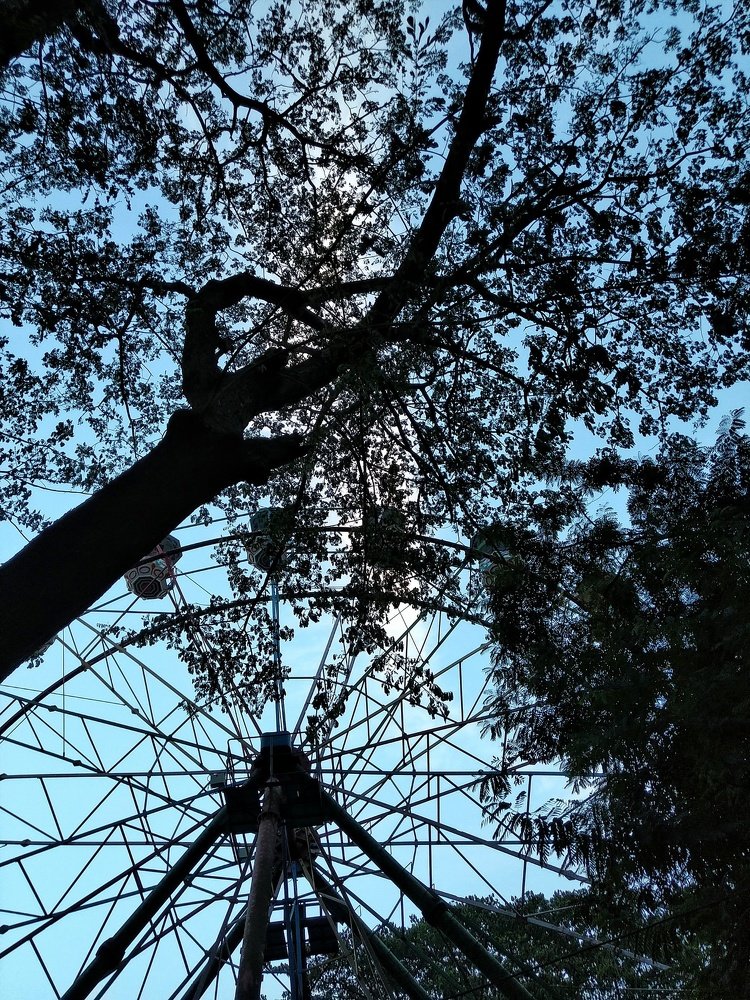 Photograph by Tirtho