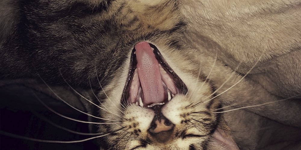 Photograph by Ирина Саттарова