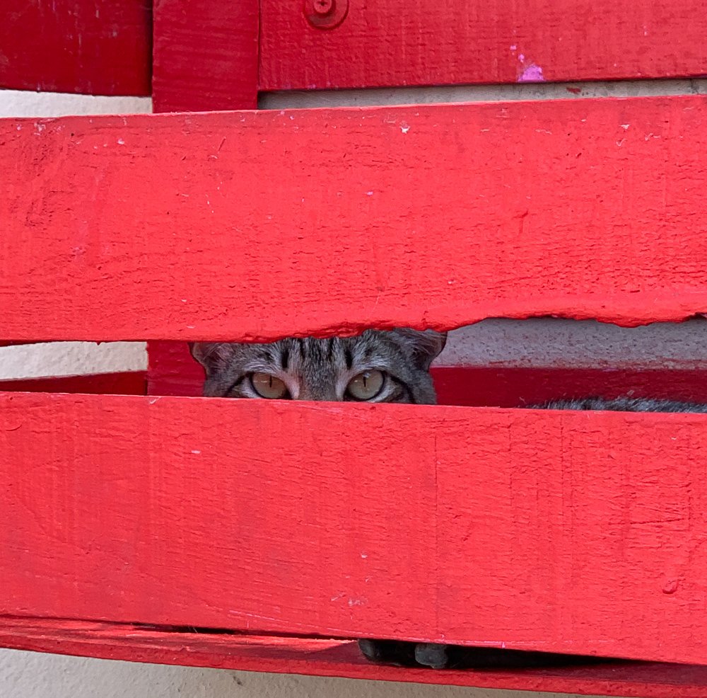 Фотография автора Gabriela Bonilla