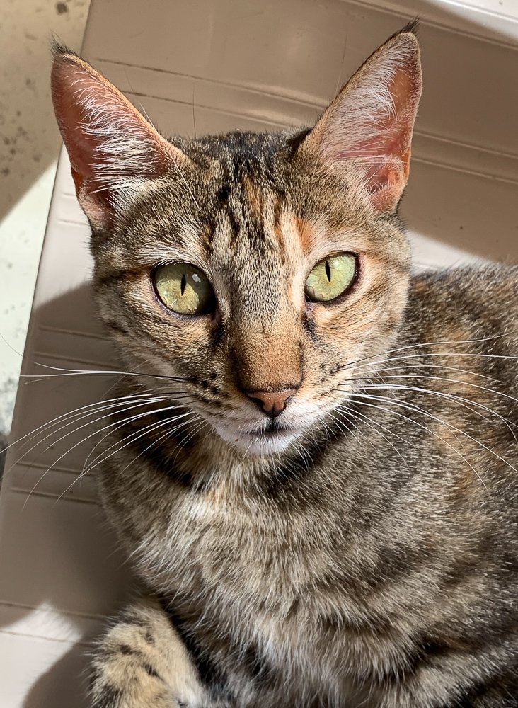 Фотография автора Gabriela Bonilla