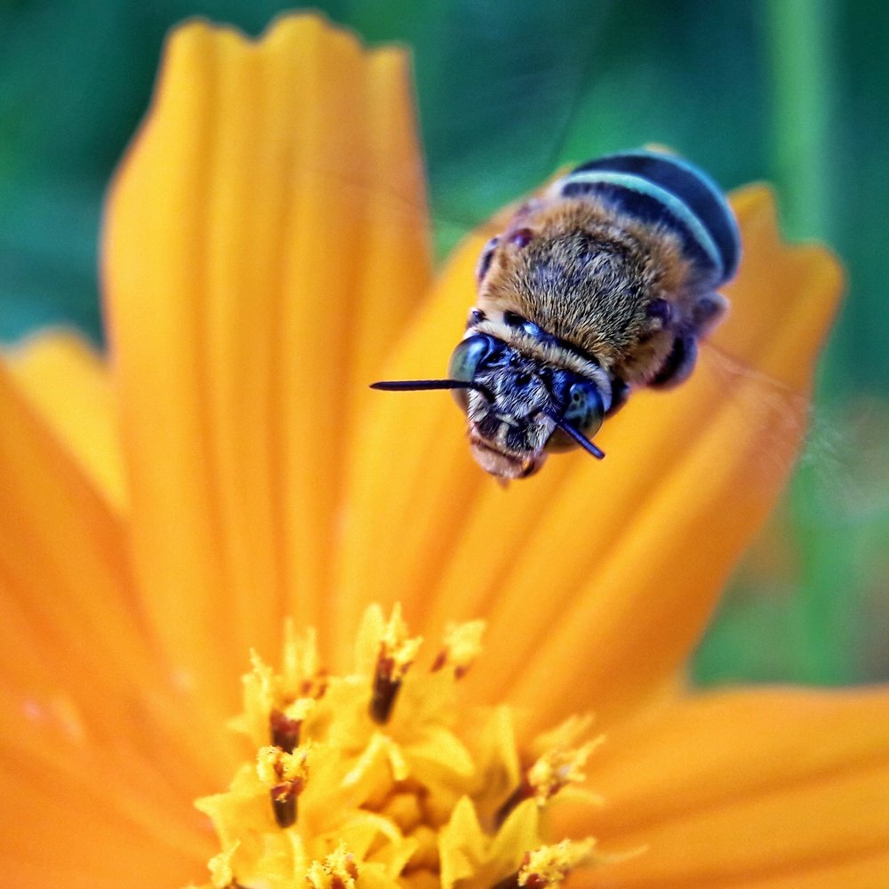 Photograph by royke kainde