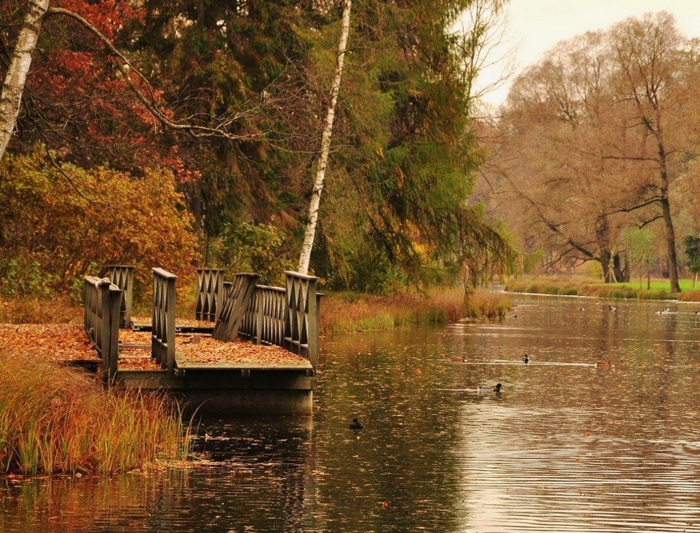 Photograph by Лариса Крышталь