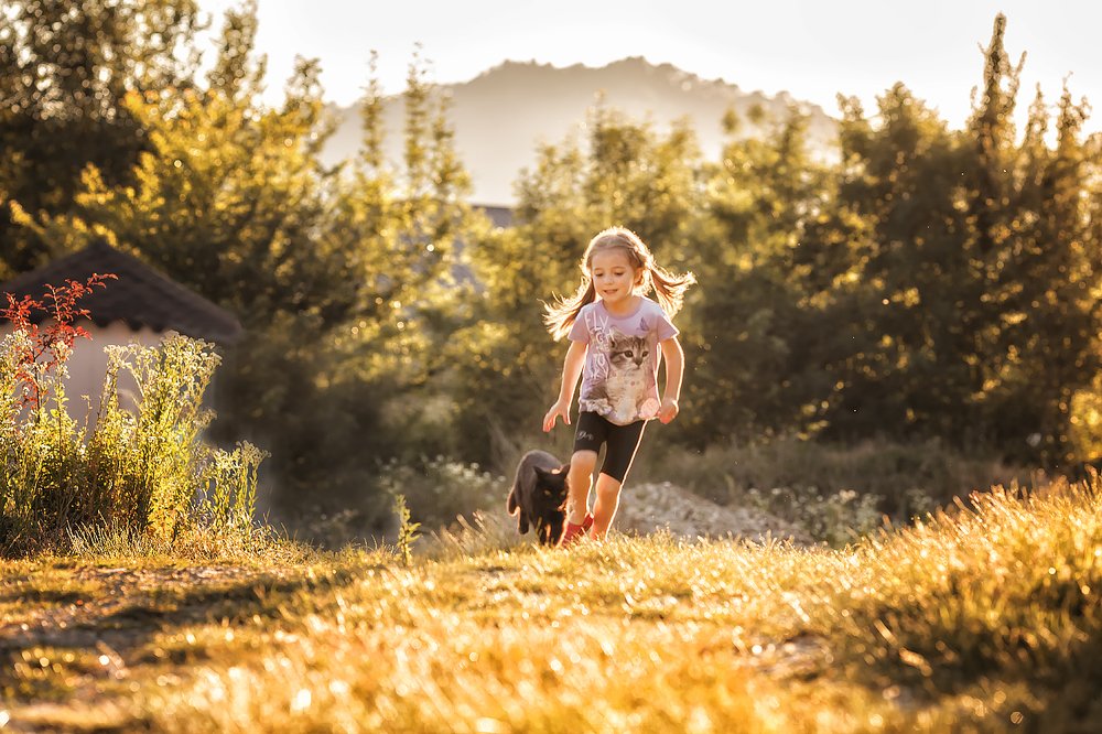 Дверь в лето