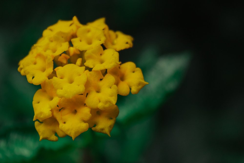 Photograph by Yashwanth Pavanan