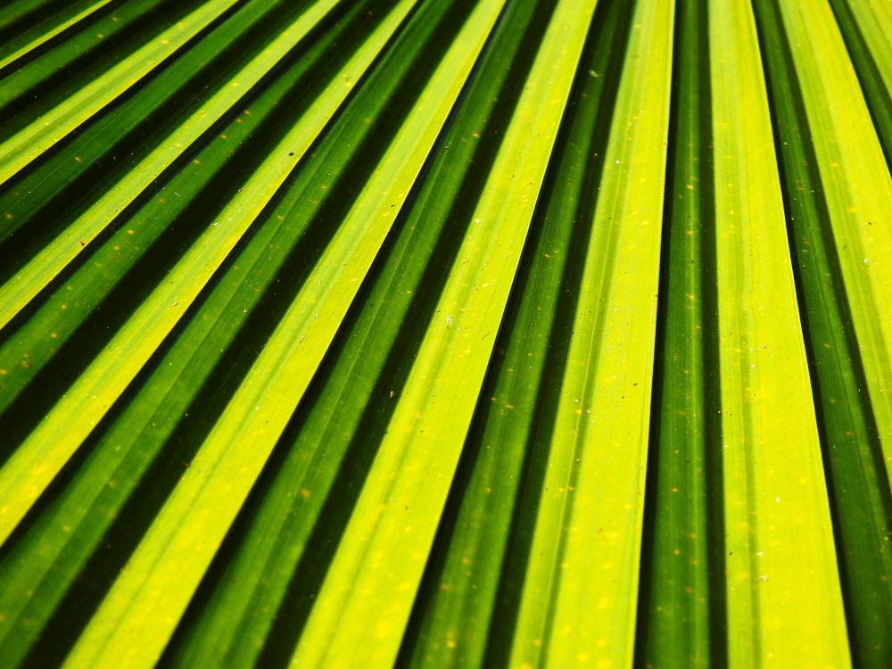 Photograph by Сергей Шипулин