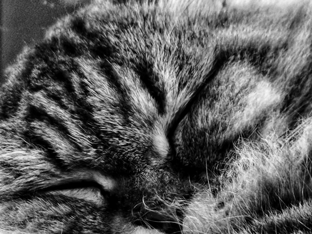 Photograph by Oliver Oh