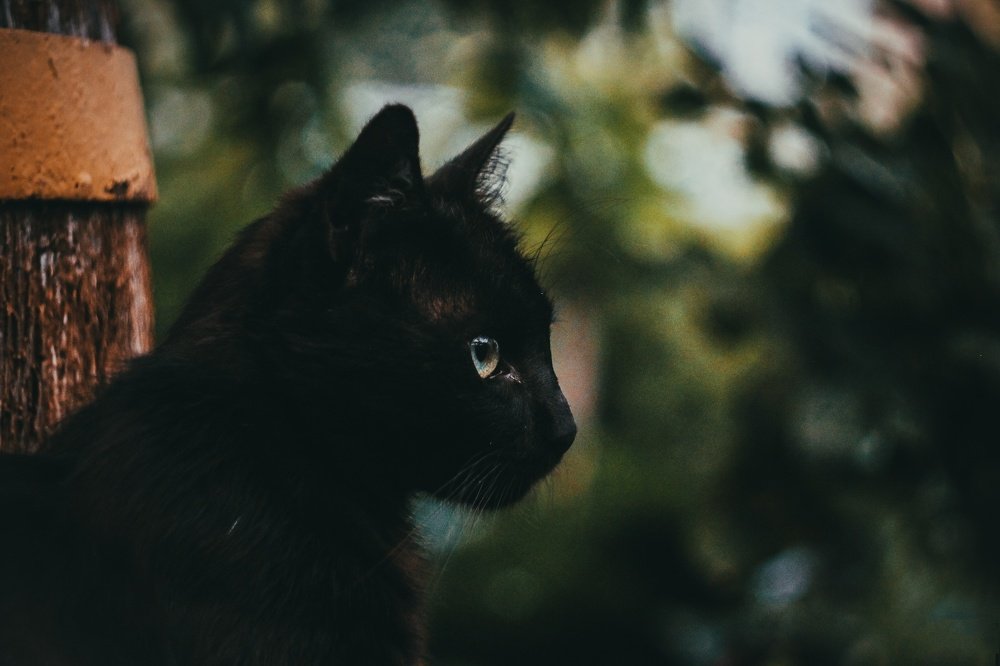 Photograph by Андрей Ероха