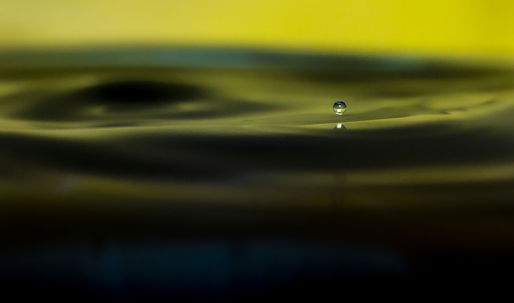 Photograph by Silvia Marcos