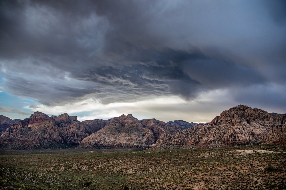 Photograph by Daria Osipova