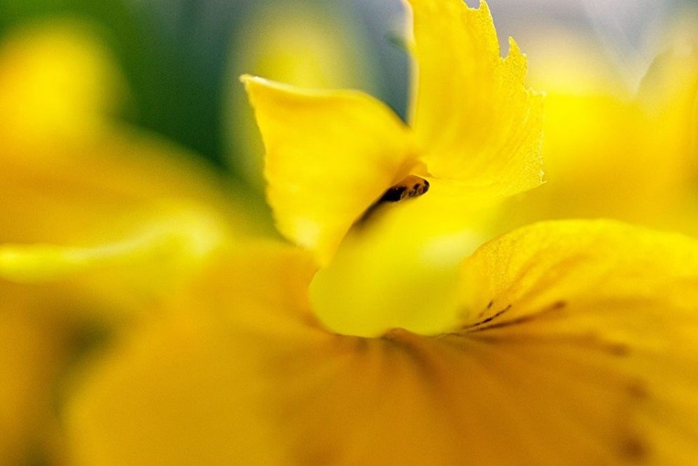 Photograph by Сергей Киселев