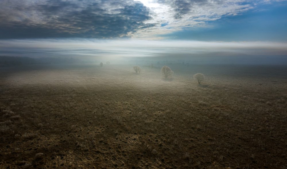 Photograph by Дмитрий Демидов